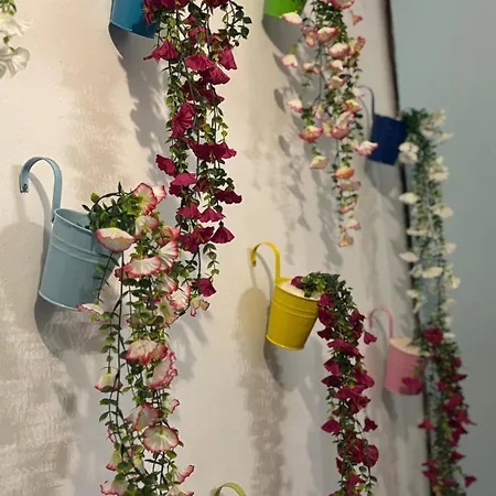 Plava Kuca Carsije Old Town Newly Renovated