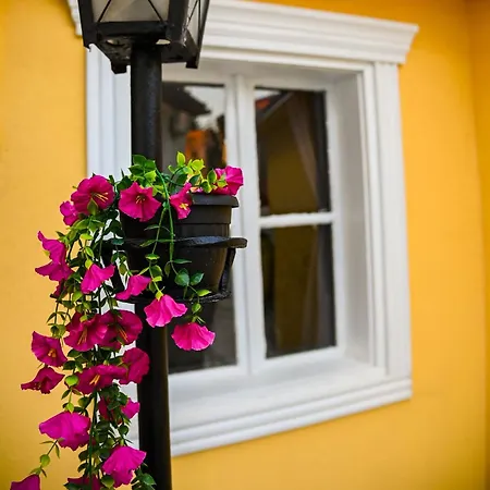 Apartmán Blue House Carsija Old Town Free Parking *