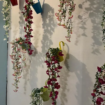 Plava Kuca Carsije Old Town Newly Renovated * Sarajevo