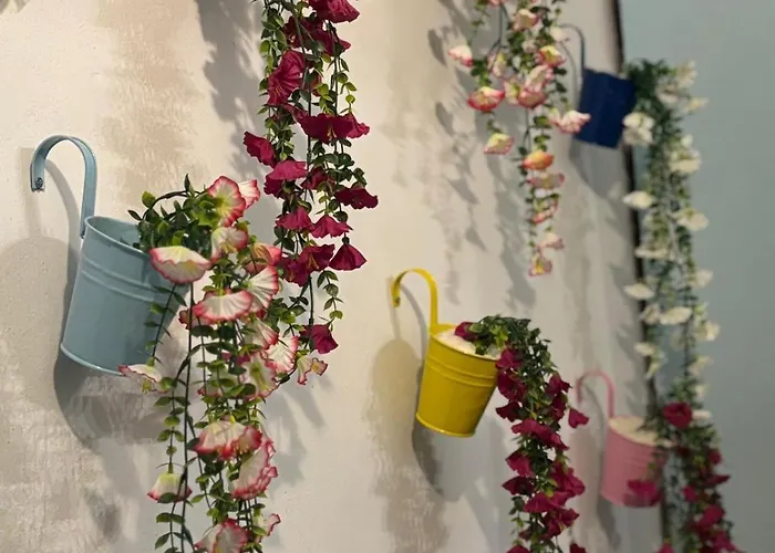 Blue House Carsija Old Town Free Parking